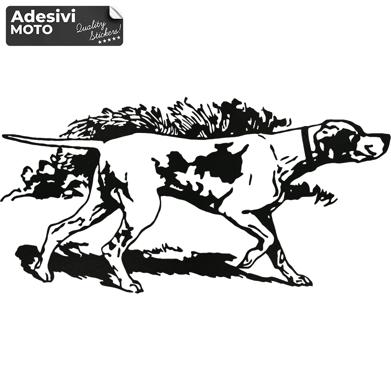Adesivo Pointer Inglese Cofano-Sportelli-Fiancate-Fuoristrada-Auto
