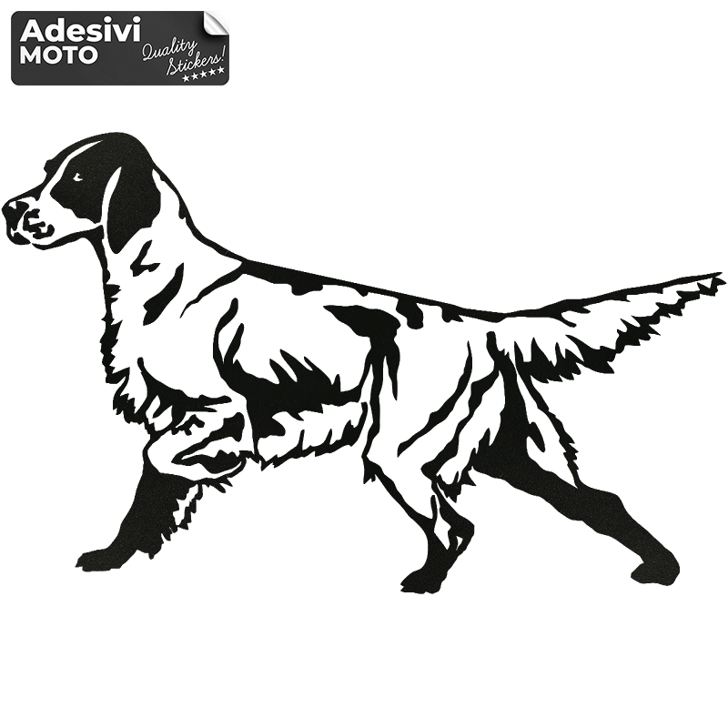 Adesivo Setter Inglese Cofano-Sportelli-Fiancate-Fuoristrada-Auto
