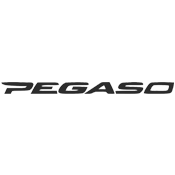 Pegaso 650